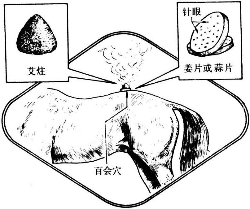 间接灸法