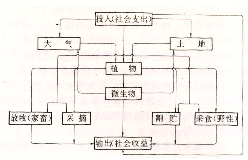 是人类对草地农业生态系统加工改造的力量,是自然生态系统通过农业化