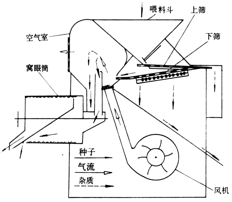 蔬菜種子加工機械