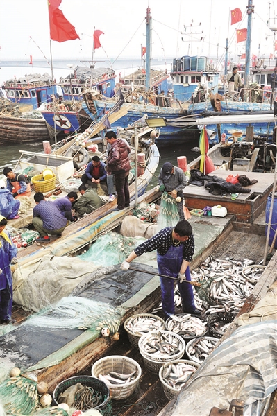 首页 三农信息 三农资讯 行业要闻  近期,北塘,中心渔港等码头的渔民